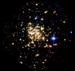 The Milky Way's Densest Star Cluster: The Arches Cluster