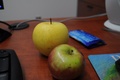 dsc_0742.jpg